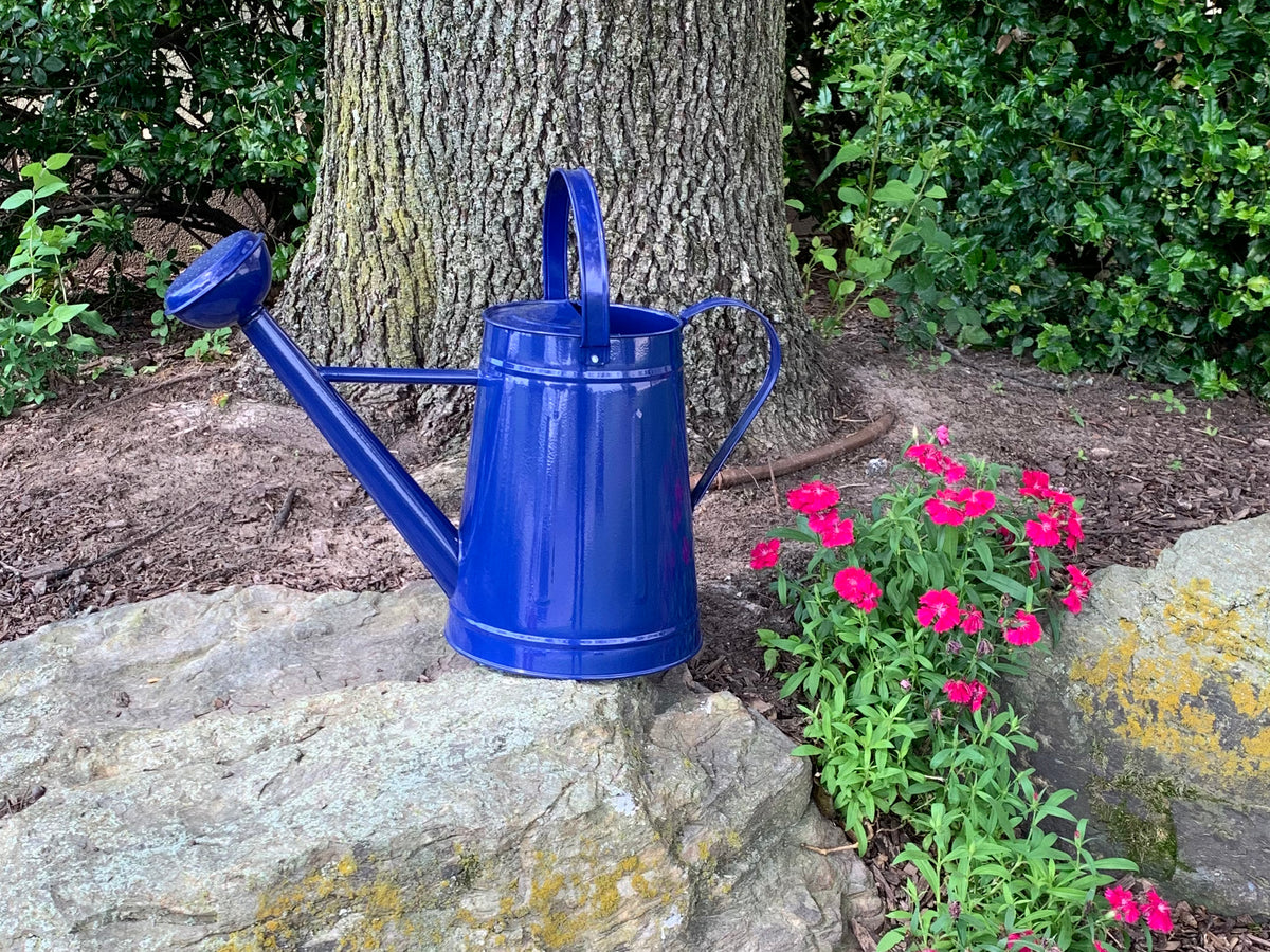 2.1 gal Blue Metal Watering Can
