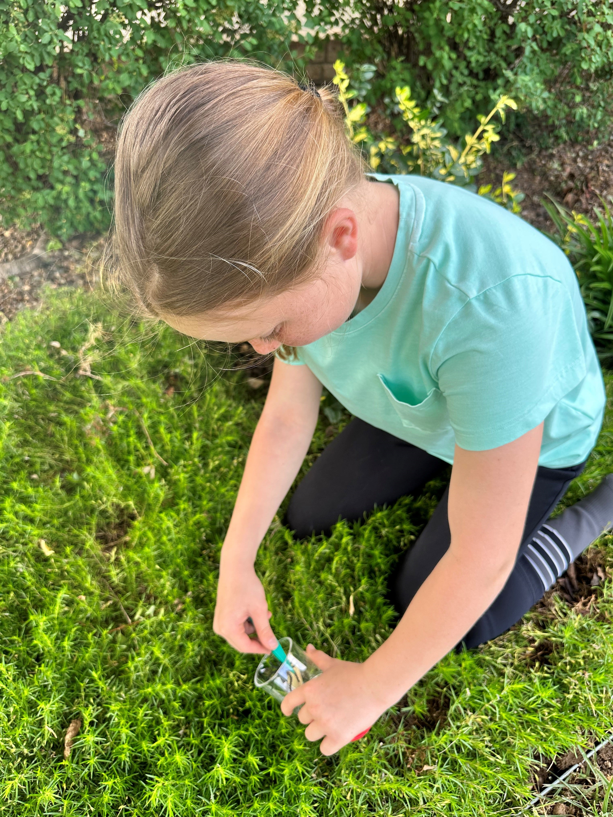 Bug Hunt Kit 8 Piece Bug Watching & Bug Hunt Kit | Kids Gardening – Garden Your Way ...