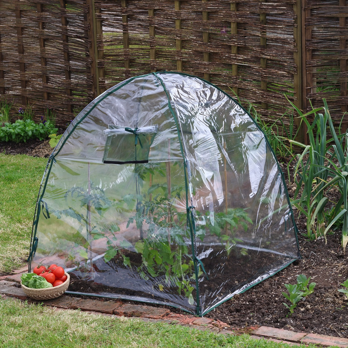 plastic domes for plants Tierra Garden Easy Poly Dome with Air Vents, 36"L x 36"W x 37"H