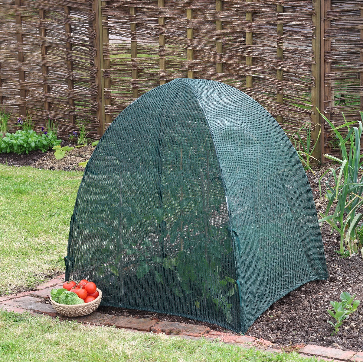 plastic dome covers for plants Giant Easy Net Dome Plant Protection Cover 36 L x 36 W x 37 H Garden Cloche with Steel Hoops & Ground Pegs