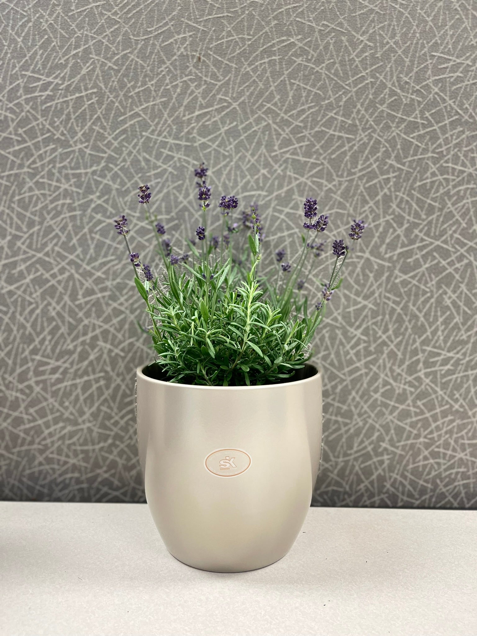 plant pot beige 6.3" Gray Beige Metallic Ceramic Basel Elegance Pot