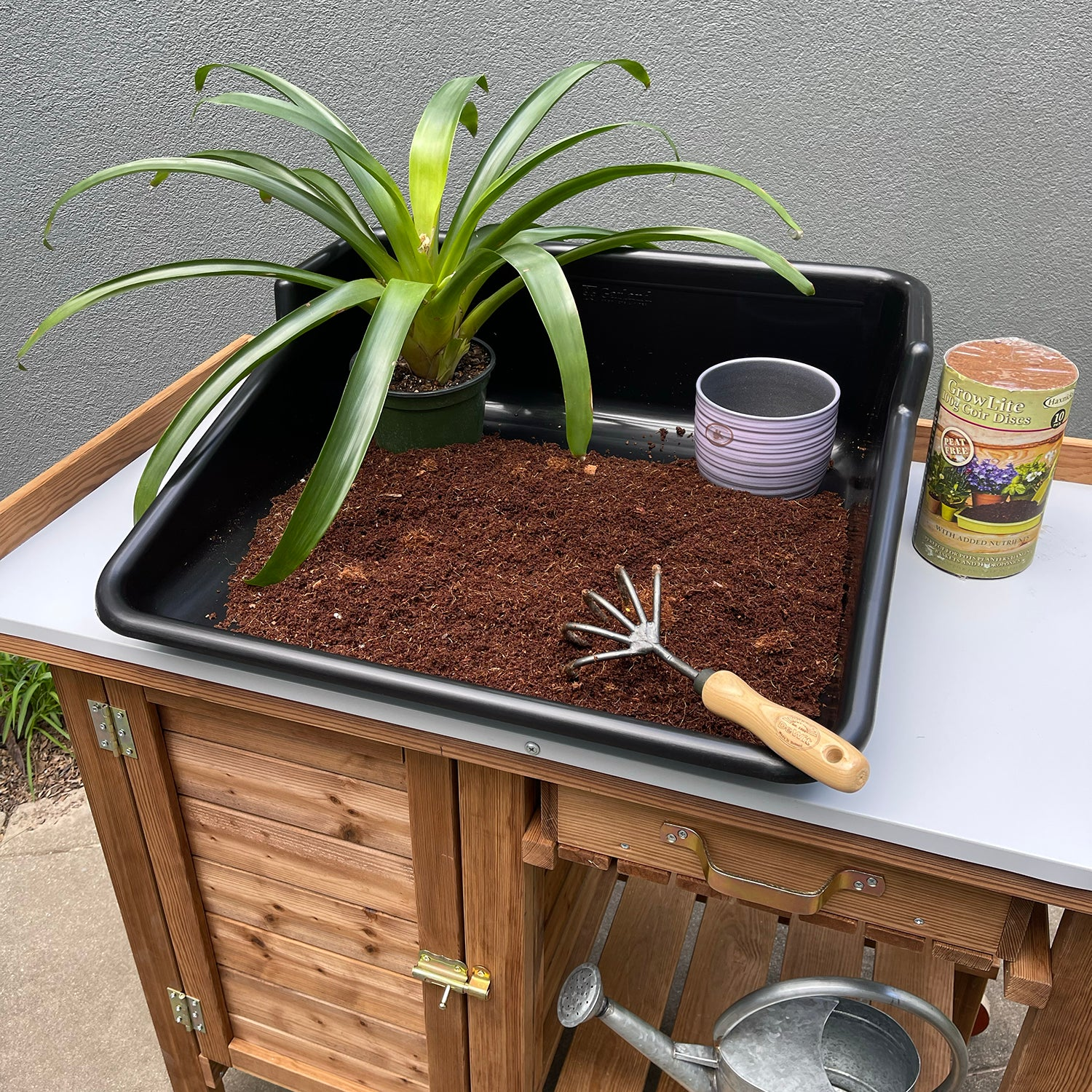 plant tray indoor Tierra Garden GP48B Tidy Potting Tray, Black