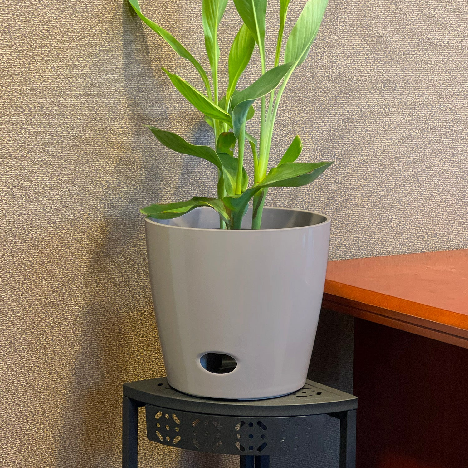 self-watering for outdoor potted plants 10" Round Self-Watering Indoor/Outdoor Bamboo Pot