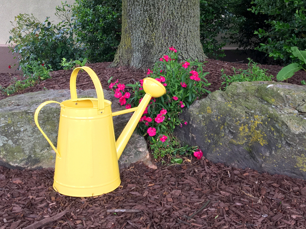1.2 Gallon Yellow Traditional Metal Watering Can