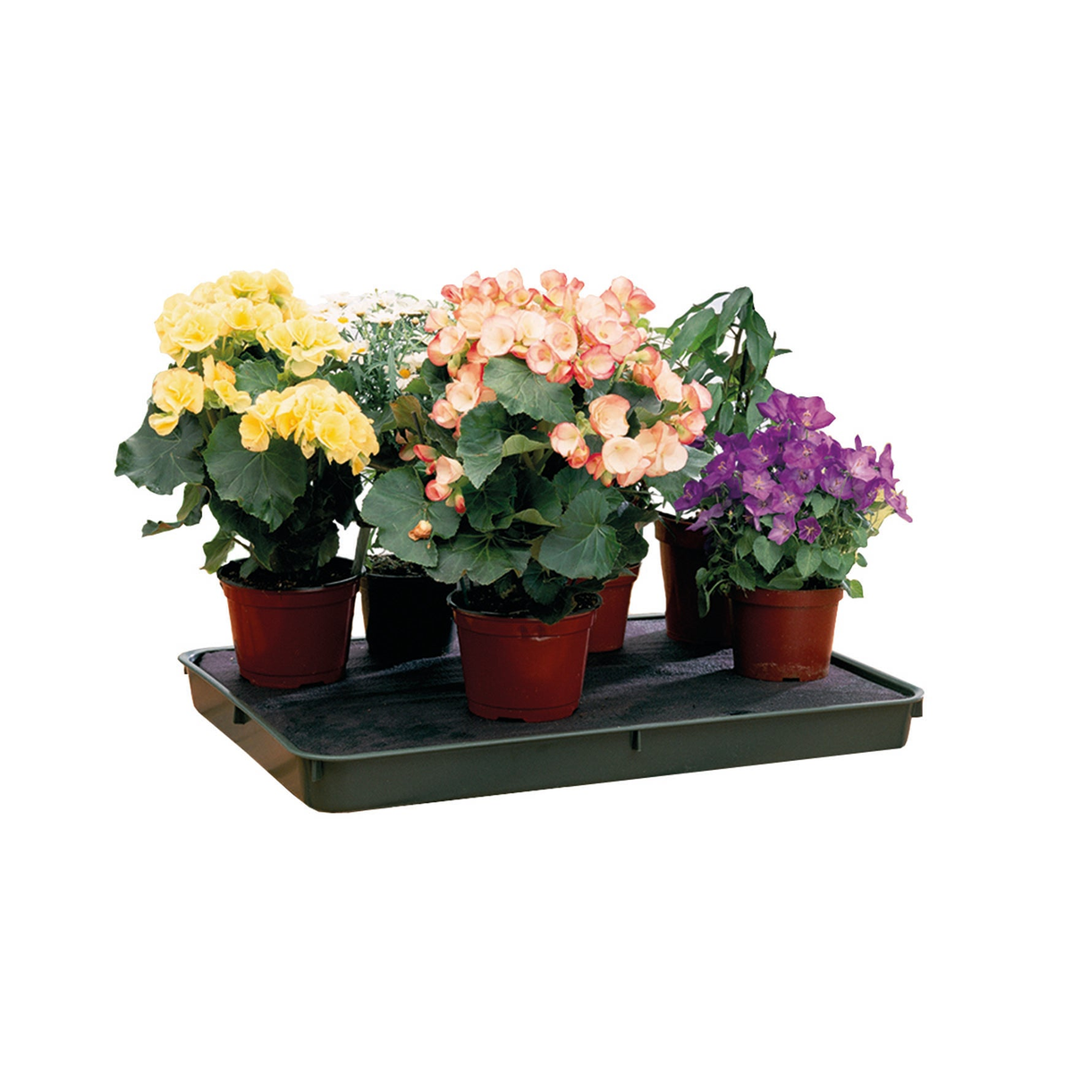 self watering trays for plants Tierra-Derco GP70 Large Self Watering Tray