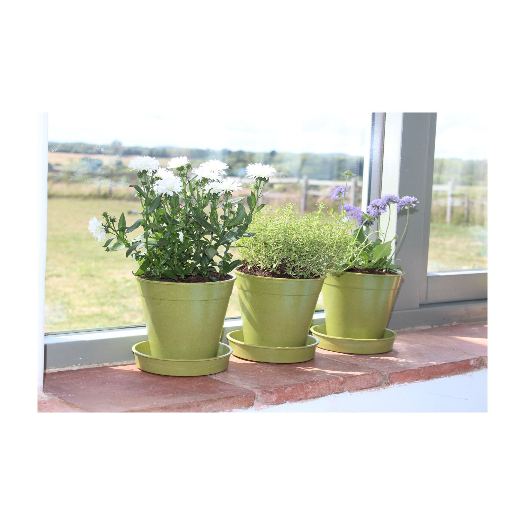 biodegradable bamboo plant pots 5" Green Bamboo Pot 5pk