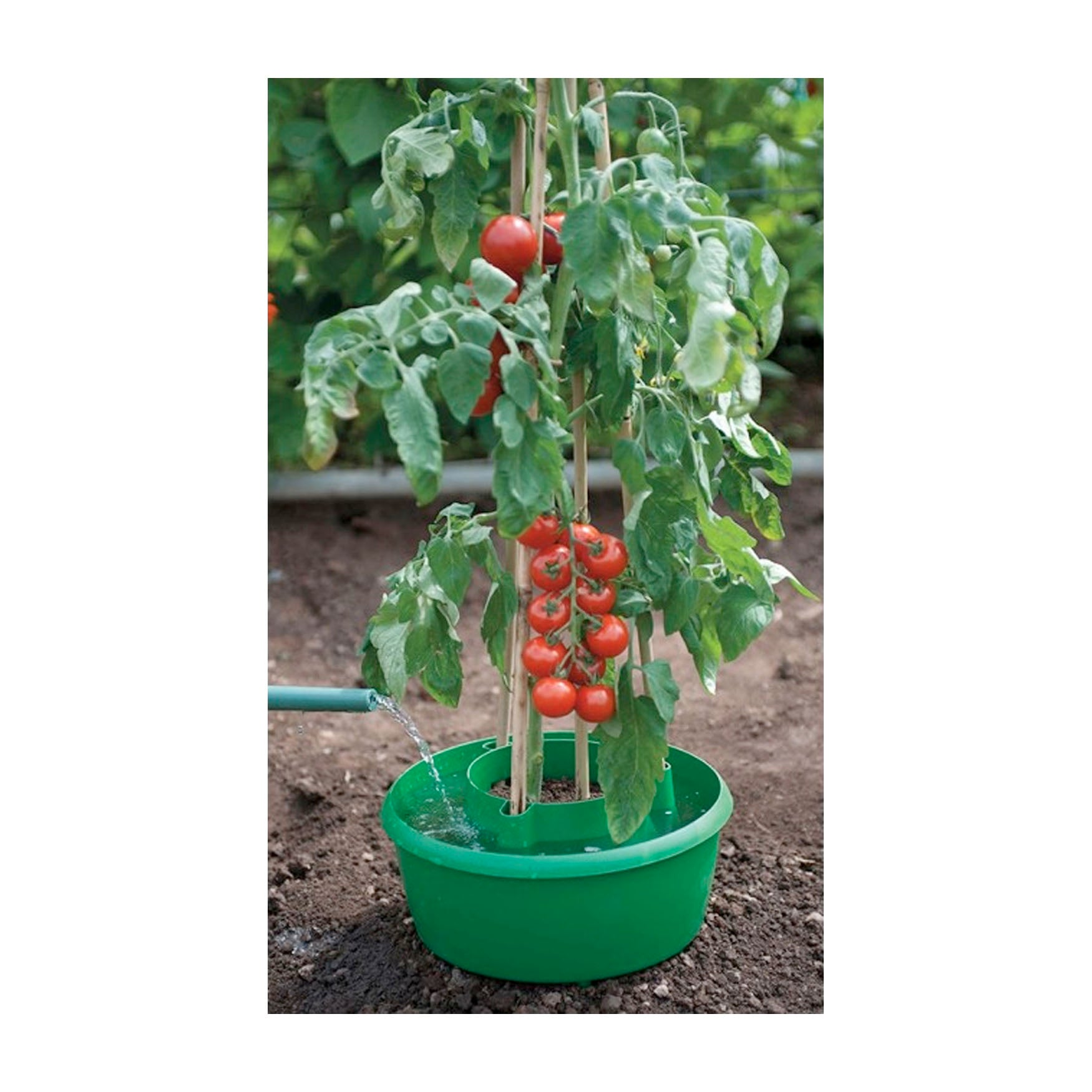 Plant/Crop Support Halos 3pk 6