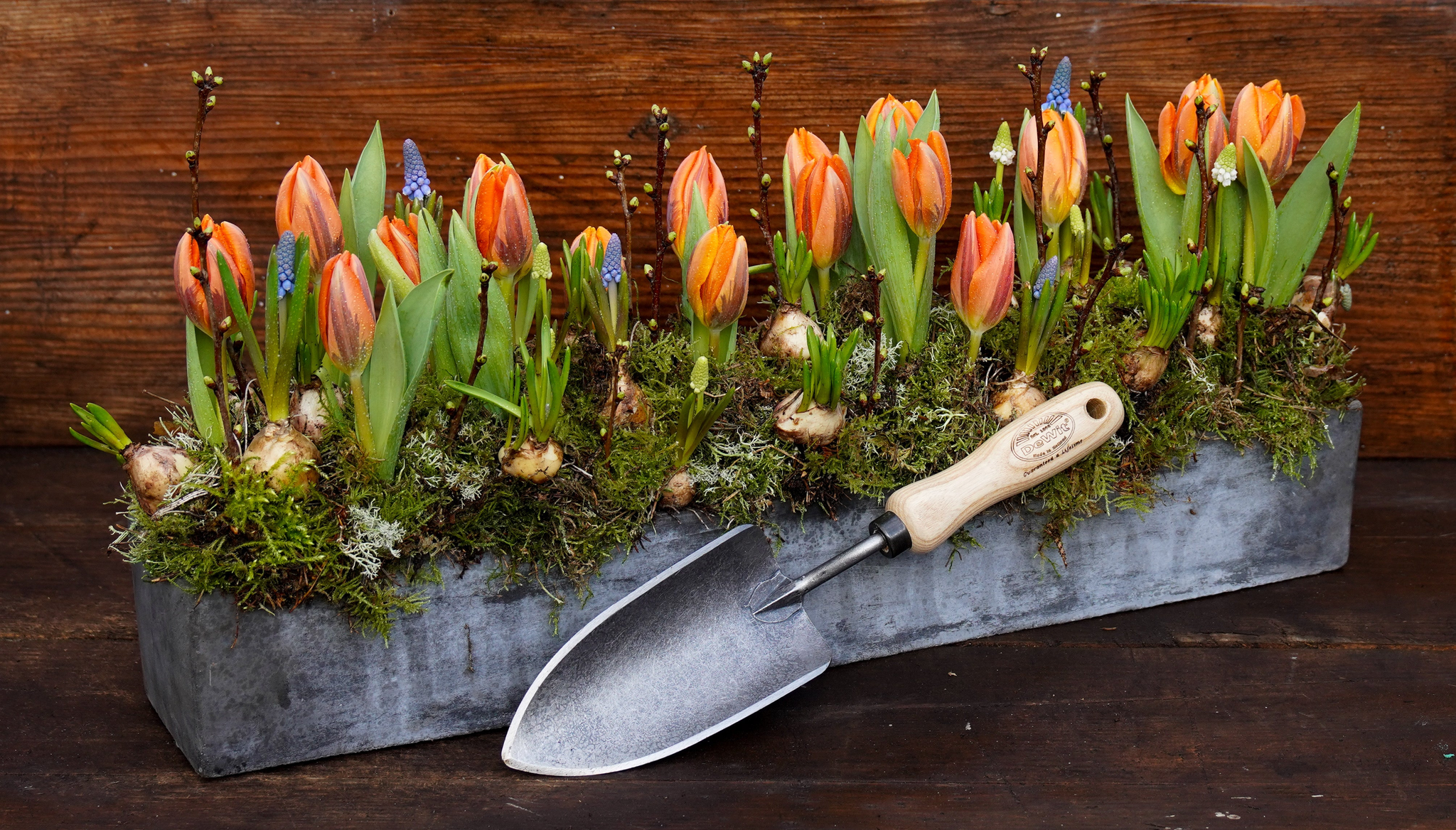 dewit garden trowel DeWit Forged Trowel