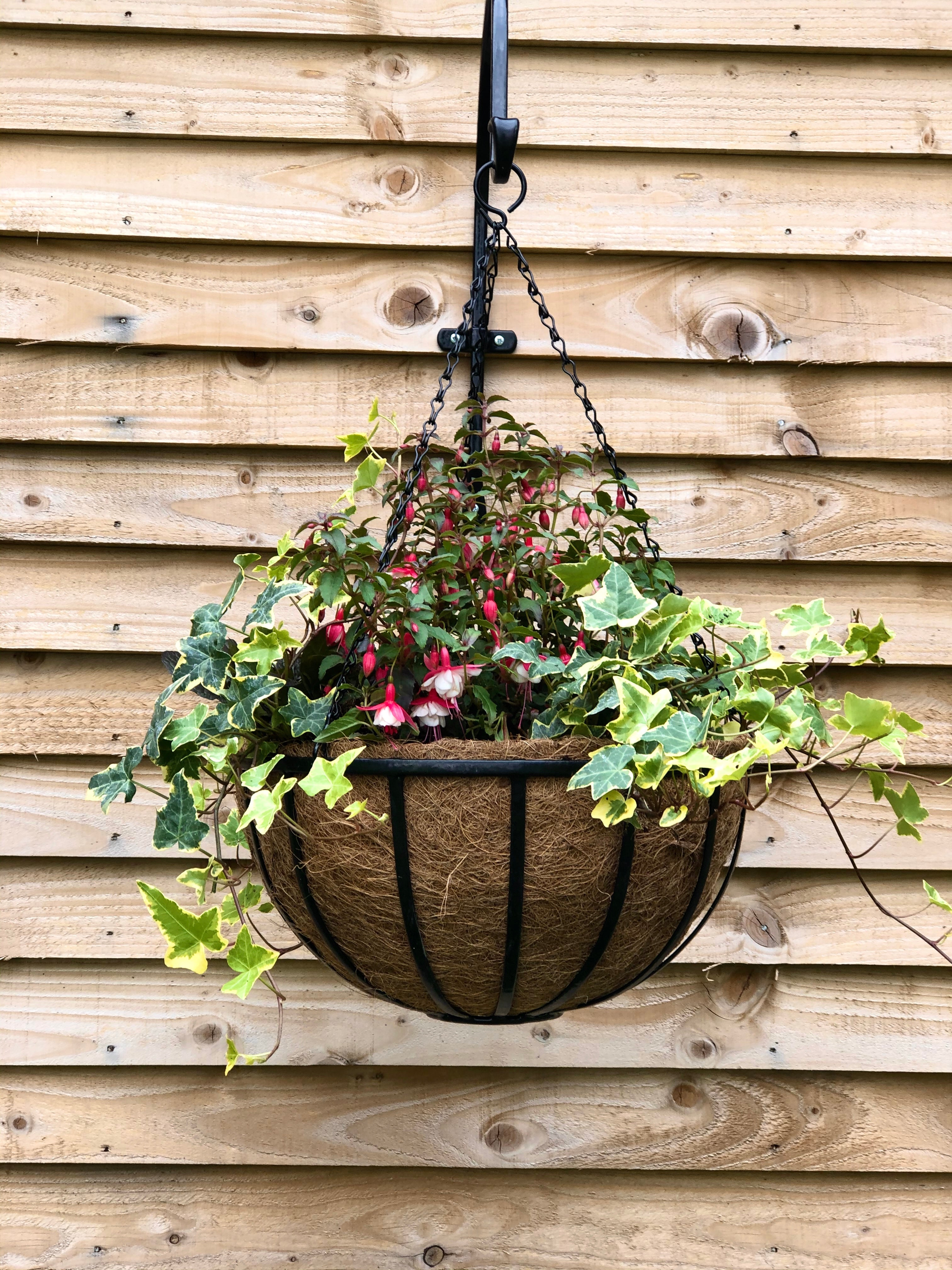 hanging planter with coco liner 16" Cambridge Premium Hanging Basket Black Gloss | Plant Containers