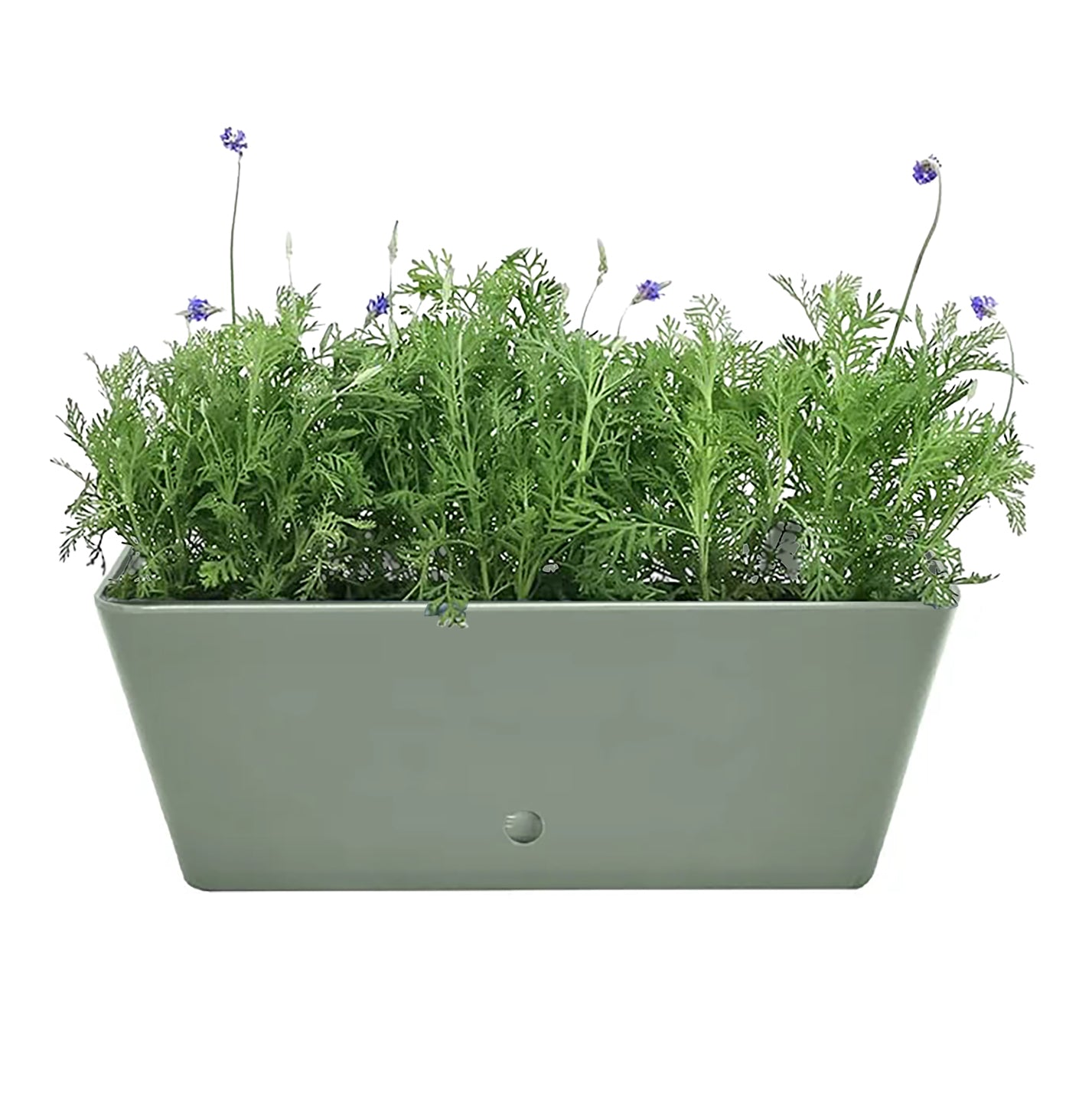 indoor planter rectangular Bamboo Blooms 5-16002 16in. Sage Green Rectangular Self-Watering Bamboo Planter