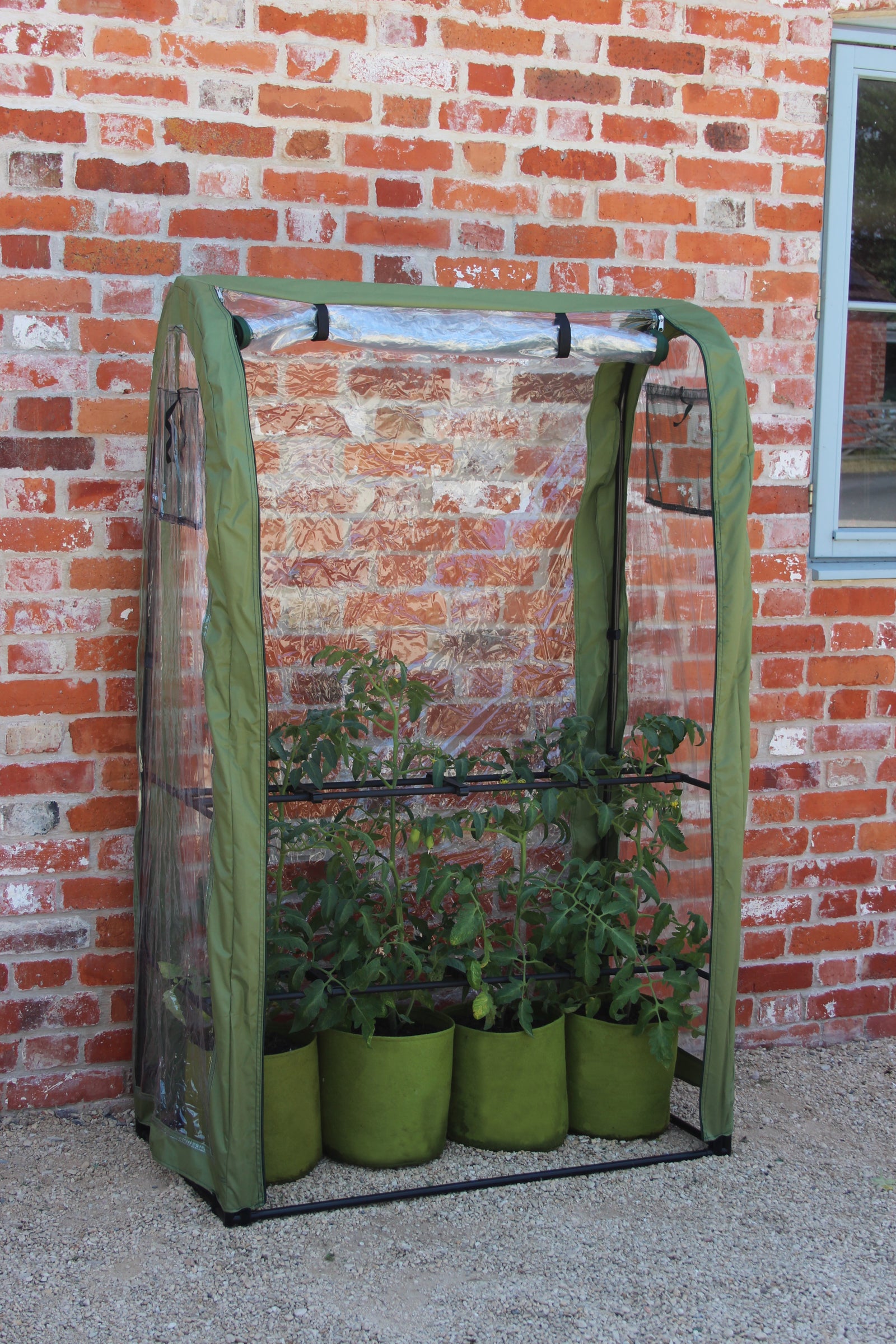 Tomato Crop Booster with clear cover, ideal for protecting and supporting plants, enhancing fruit ripening, and extending growth season.