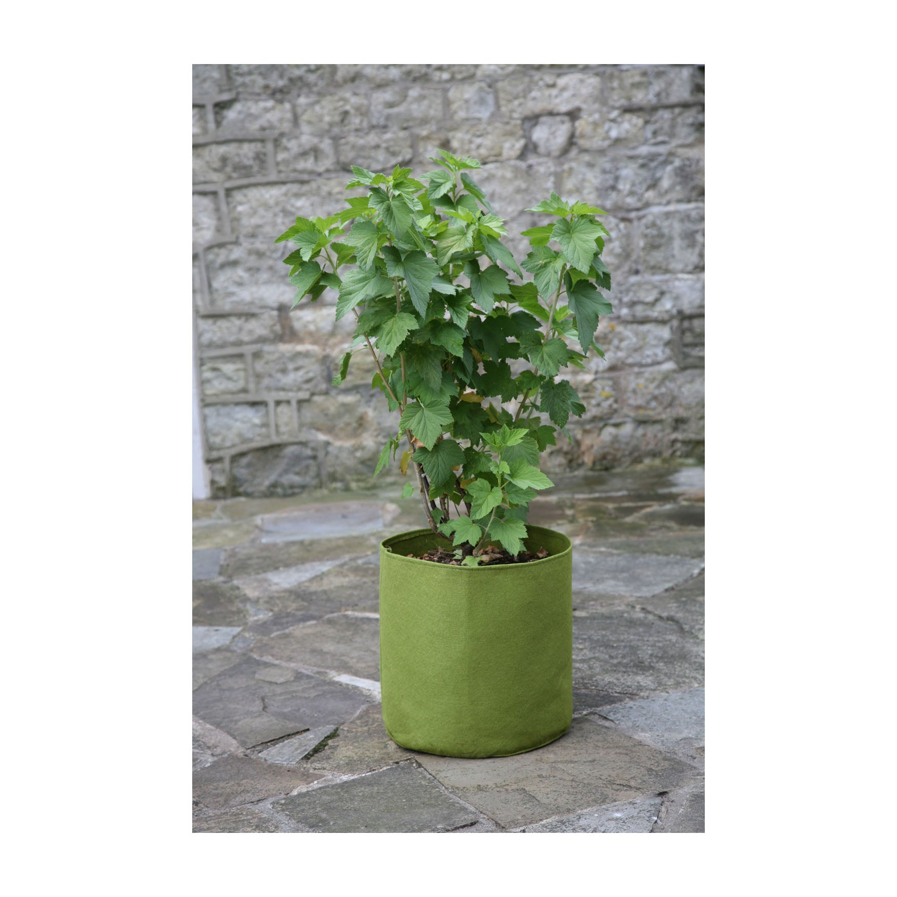 set of three plant pots 5.3 Gal Vigoroot Pots 3pk