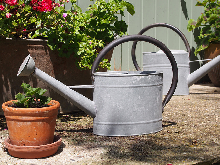 1.3 gal Oval Aged Zinc Watering Can