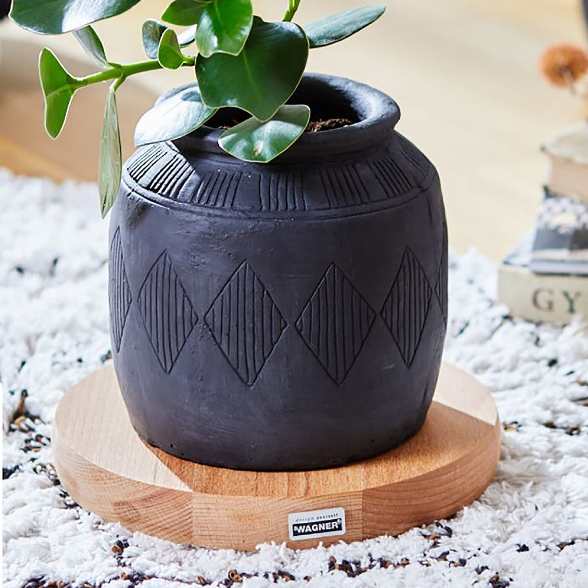 10&quot; Natural Round Wooden Plant Caddy w/No-Show Casters