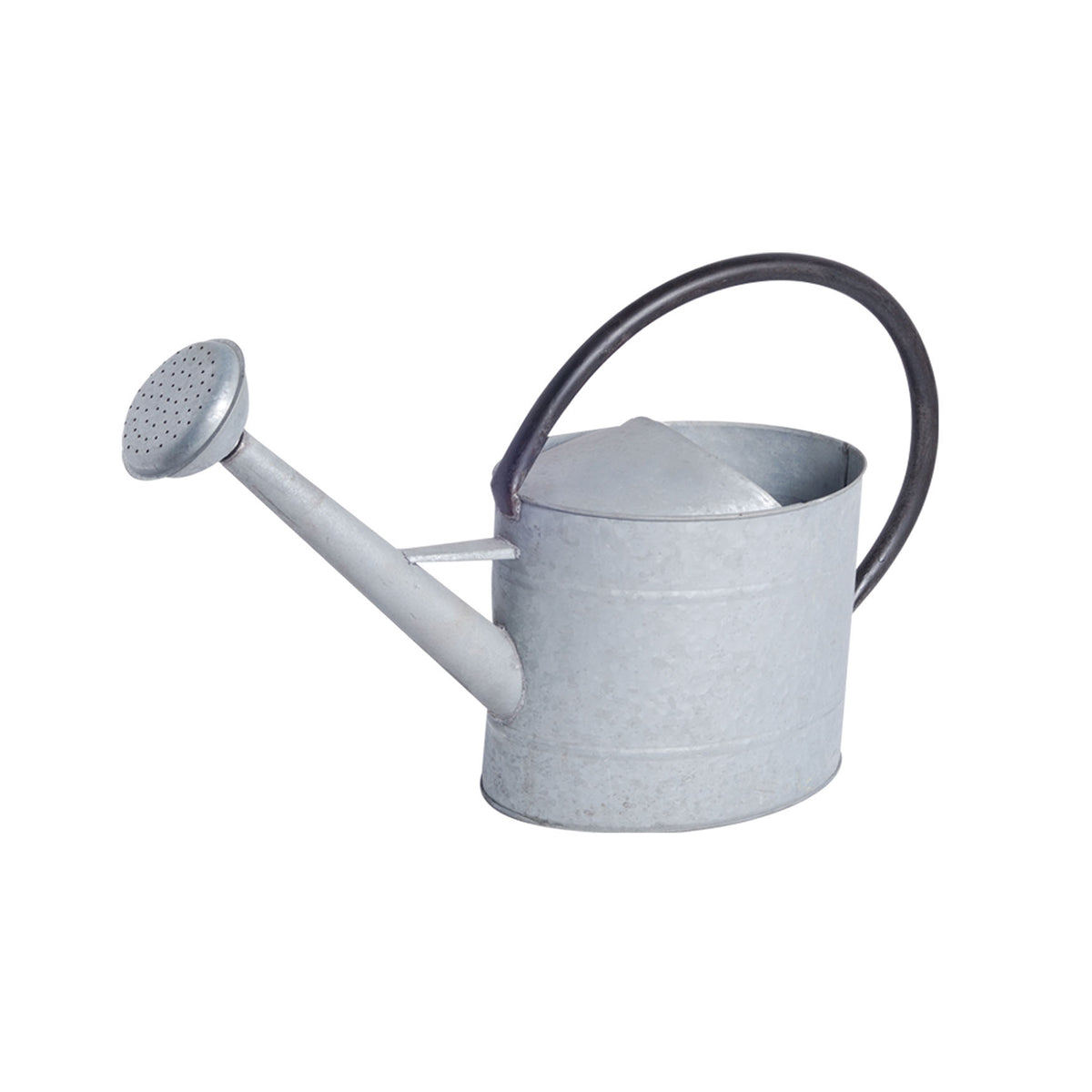 2.1 gal Oval Aged Zinc Watering Can