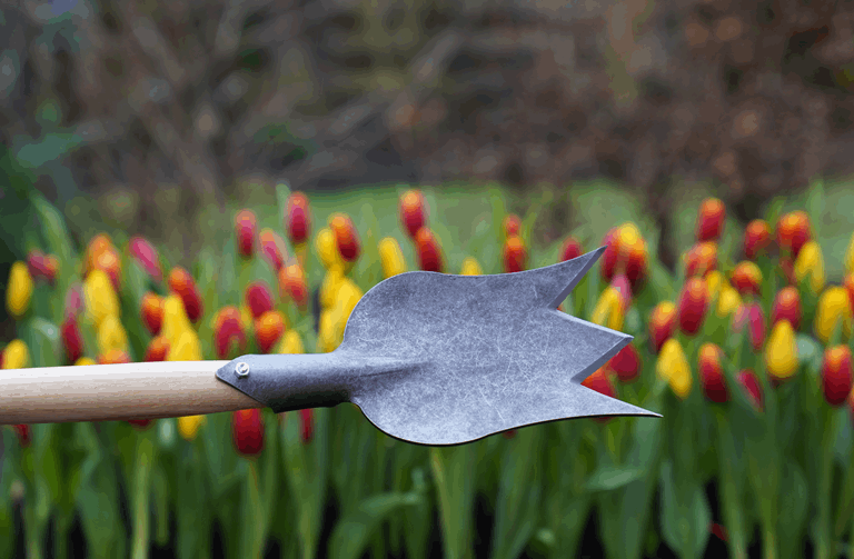 DeWit Spade - Tulip Long T-Handle