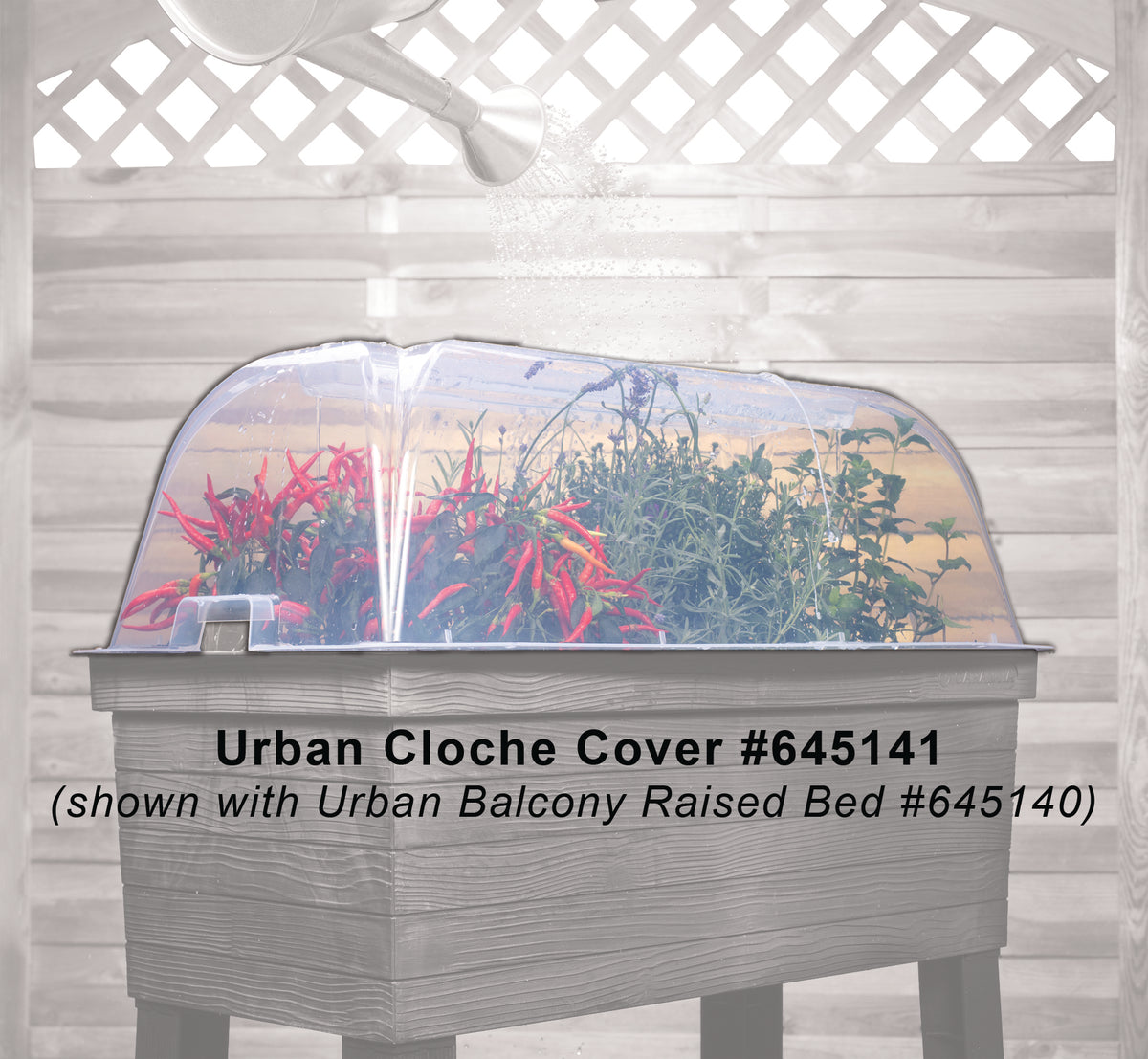 Urban Cloche Cover