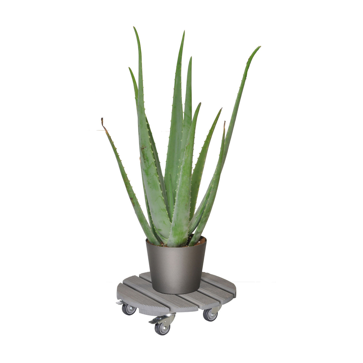 15&quot; Gray Round Ribbed Plant Caddy